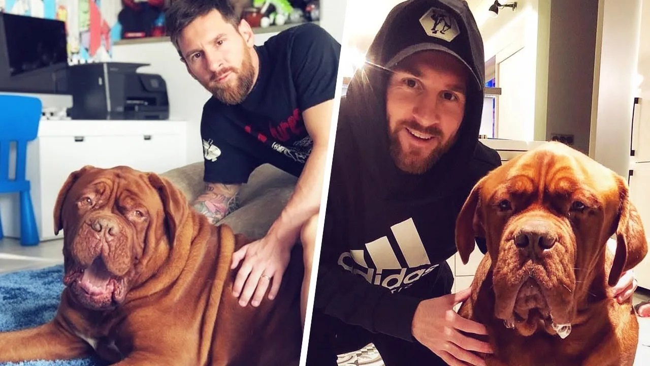 Even Lionel Messi's dog isn't safe from his