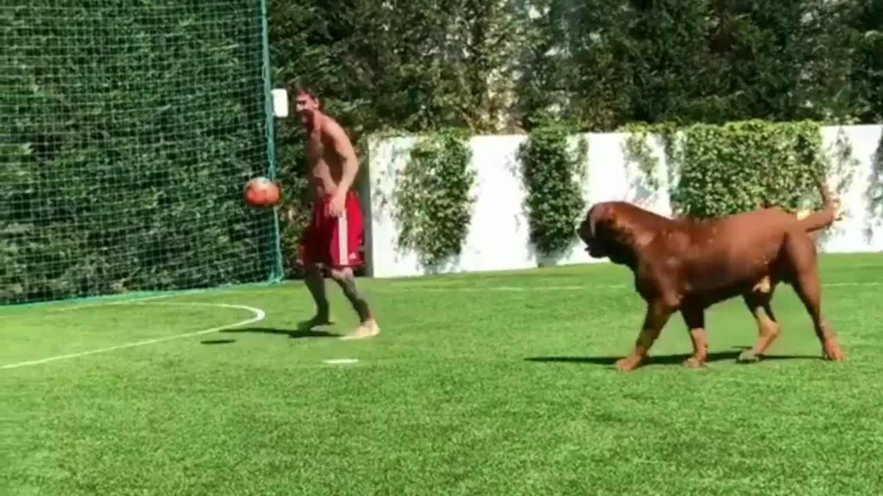 Quand Leo Messi rend fou son chien